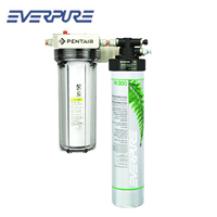 愛惠浦Everpure牌H300型凈水器Reloading款