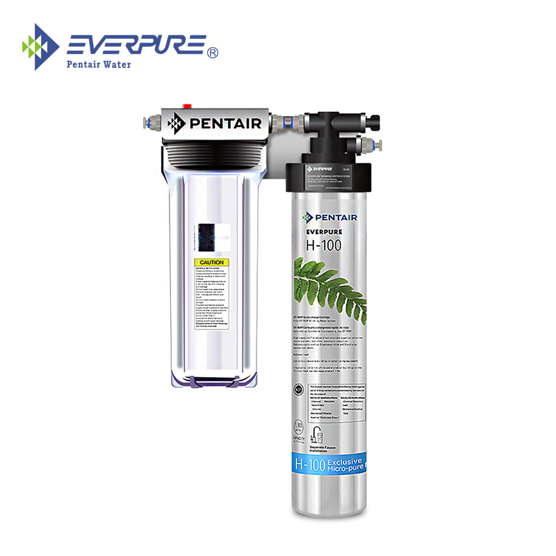 愛惠浦Everpure牌H100型凈水器Reloading款