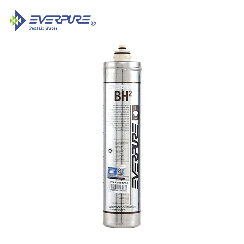 愛惠浦BH2主濾芯