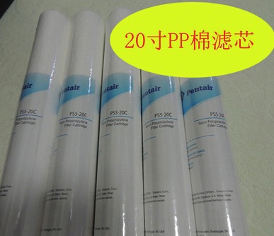 美國愛惠浦20寸5微米PP棉