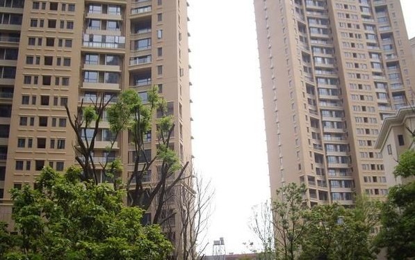 湖北武漢東湖國際全屋凈水系統案例