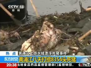 億家凈水_SHUI.CN