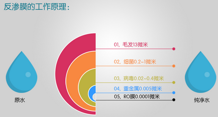 億家凈水_SHUI.CN