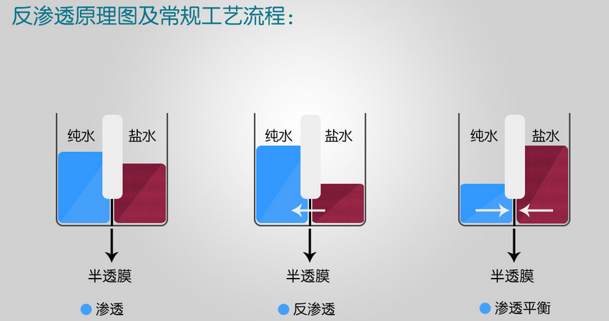 億家凈水_SHUI.CN