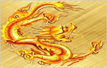 公司介紹